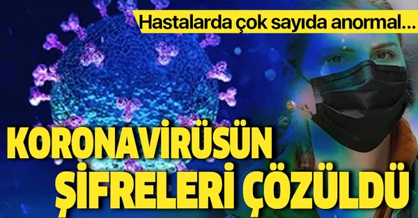 Koronavirüsün şifreleri çözüldü! Koronavirüs hastalarında çok sayıda anormal…-1