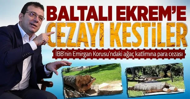 CHP’li İBB’nin Emirgan Korusu’ndaki ağaç katliamına İstanbul Orman Bölge Müdürlüğü tarafından para cezası verildi
