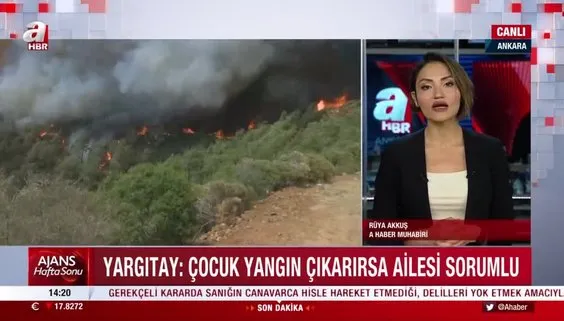 Yargıtay'dan orman yangınlarıyla ilgili emsal karar! Çocuğun çıkardığı yangından ailesi de sorumlu