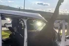 Dörtnala felaket geldi! Gaziantep'te başıboş at polis aracına girdi