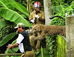 Bir anda üzerine atladı, herkes ne yapacağını şaşırttı! 1 saniye sonrasını merak edeceğiniz fotoğraflar