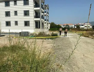 Dehşete düşüren olay! İnşaat malzemeleri arasında bulundu