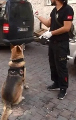 İstanbul'da dev operasyon