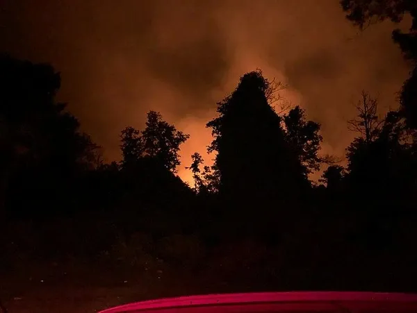 Samsun'da, sazlıkta çıkan yangın ormana sıçradı-3