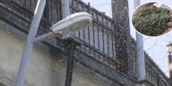 İstanbul'da ilginç olay! Arbedeye aldırış etmeden dürüm yedi (Yaşam haberleri)-5