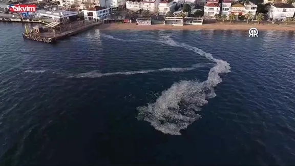 Kınalıada'da müsilaj istilası!