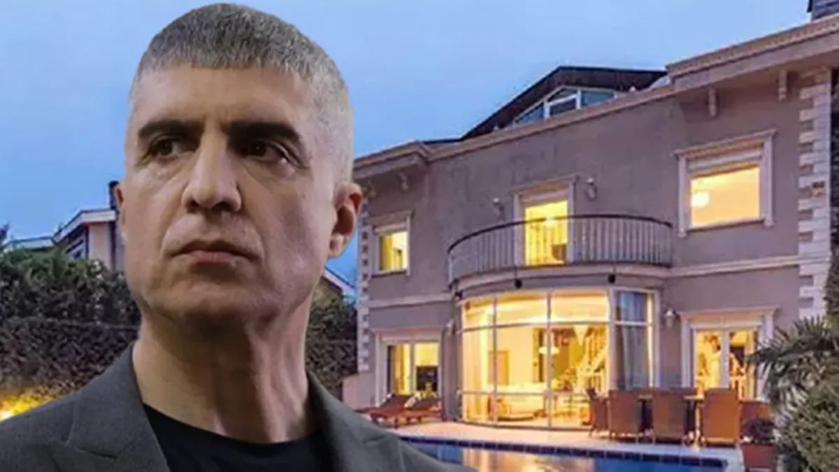 Deniz Özcan’e vergi incelemesi