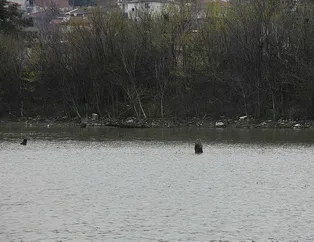 Ziyaret için geldiler! Gördüklerine inanamadılar