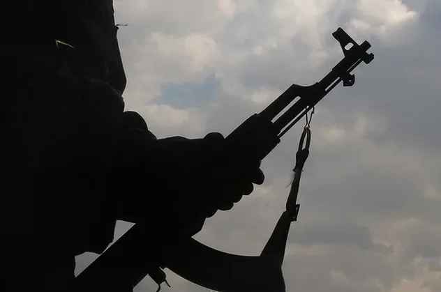 Hollandalı gazeteciden Batı'ya PKK eleştirisi: PYD/YPG'nin propagandasına inanıyorlar