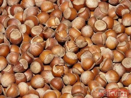 Türklerin kökeni nereden geliyor? İşte Türklerin soyağacı...