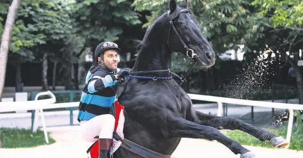 Senin için Boldi!
