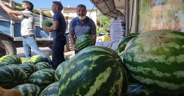 Tunceli’de organik karpuz üretildi: Hıdıroz