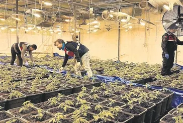 Dışı fabrika içi uyuşturucu