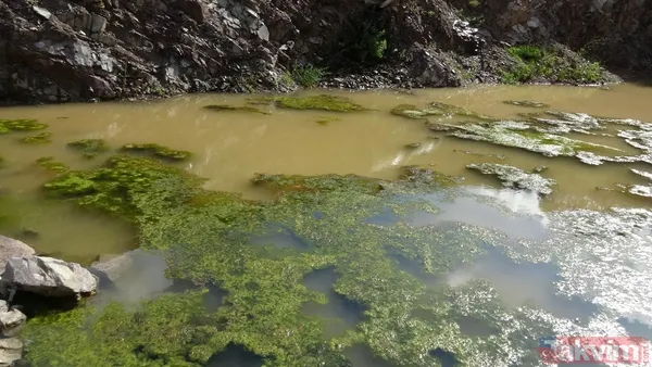 İSKİ'nin son skandalı! Kanalizasyon suları Ömerli Barajı'na akıyor - 11