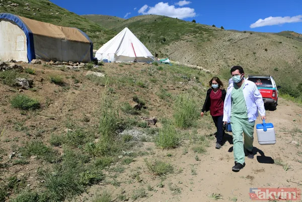 Tunceli'de sürü sahipleri 2 bin 500 metre rakımlı yaylada aşılandı - 11