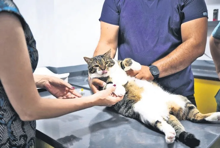 Diya’’pati’’k mucize