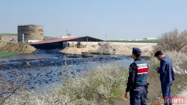 Edirne'de çevre katliamı! Tonlarca fuel oil 30 dekar alana ve dere yatağına yayıldı - 5