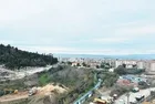 CHP'li belediye yine ağaç katliamına imza attı! Kepçelerle söktüler