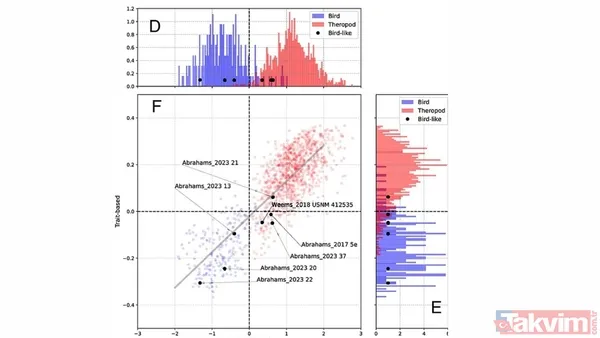 Yapay zeka kuşların evrimini geriye çekti! İlk uçuşun kökeni 60 milyon yıl öncesine ait - 12