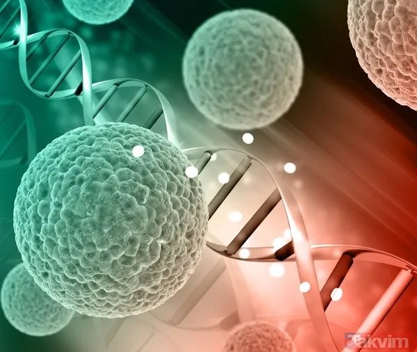 Reflü sandığı belirtiler pankreas kanseri çıktı: Teşhisten altı hafta sonra veda etti - 5