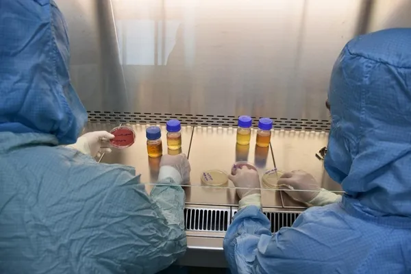 Koronavirüse karşı milli mücadele! Atlardan elde ediliyor!-2