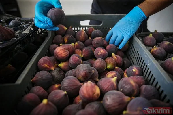 Ege’den dünya sahnesine: Damak çatlatan lezzet globalde ilk sırada - 5