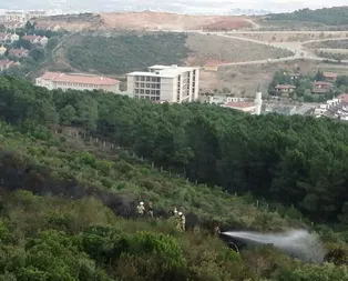 Son dakika: Pendikteki orman yangınıyla ilgili bir kişi gözaltında! Bakan açıkladı: Terör bağlantısı tespit ettik