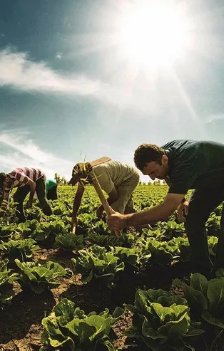 Son dakika: Çiftçilere büyük müjde! Hazineye ait atıl tarım arazileri çiftçilerin kullanımına açılacak