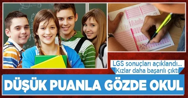 LGS sonuçları belli oldu: 36 ilden 97 öğrenci 500 tam puan alarak birinci çıktı