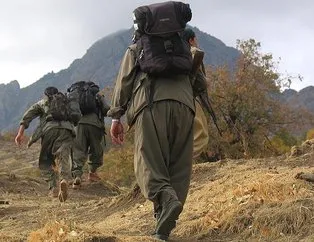 Teslim olan terörist PKK-HDP iş birliğini itiraf etti!