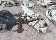 Son dakika! Afrinde PKK/YPG katliamı! Toplu sivil mezarlığı bulundu