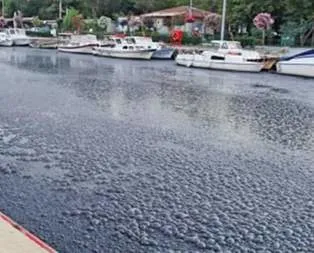 CHP’nin foyası ortaya çıktı