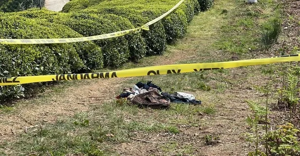 Rize'de çay bahçesinde erkek cesedi bulundu: "Ben 40 yaşındayım köyümde ilk kez böyle bir şeyle karşılaştım"