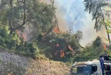 Antalya’da orman yangını!