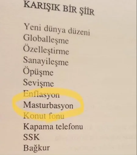 Muharrem İnce'nin erotik şiirleri ortaya çıktı-4