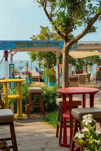 'Kaçak avcısıyım' diyen CHP'li Bodrum Belediye Başkanı Ahmet Aras'ın oteli kaçak çıktı! Bakanlık harekete geçti-8