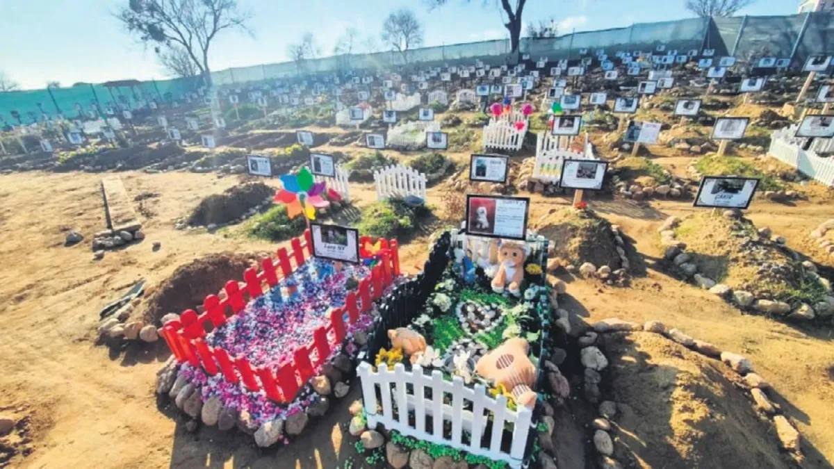 Hayvanlara son veda lüks oldu: İstanbul’da defin ücreti 15 bin TL’ye kadar çıkıyor!