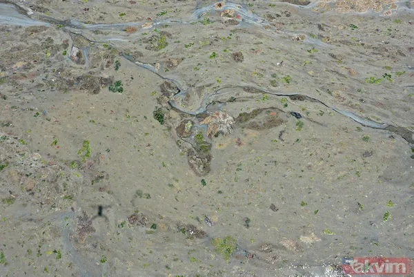 Marmara müsilaj işgalinde! Felaket 2 yıl önce geliyorum demiş! O rapor ortaya çıktı! - 23