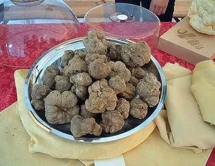 Dünyanın En Pahalı 19 Maddesi