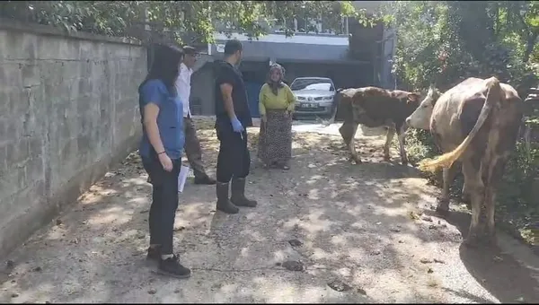1688718635359.jpeg Zonguldak'ta 120 köy karantina ve gözetim altına alındı!-3