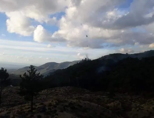 Balıkesir’de orman yangını