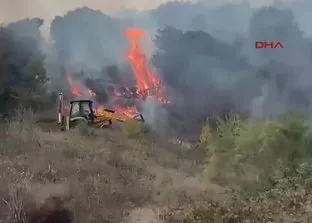 Çanakkale Biga’da orman yangını