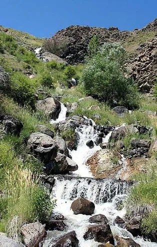 Çocuğu olmayan soluğu orada alıyor!