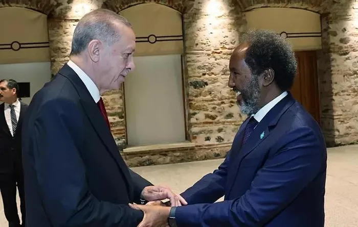 baskan-erdogan-somali-cumhurbaskani-hasan-seyh-mahmud-ve-ukrayna-cumhurbaskani-volodimir-zelenskiy-ile-gorustu-1704477843515.jpeg