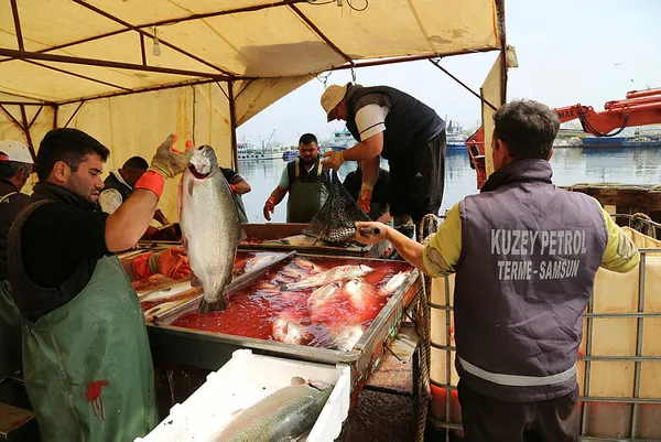 Dünya Ordu somonunun peşinde-2