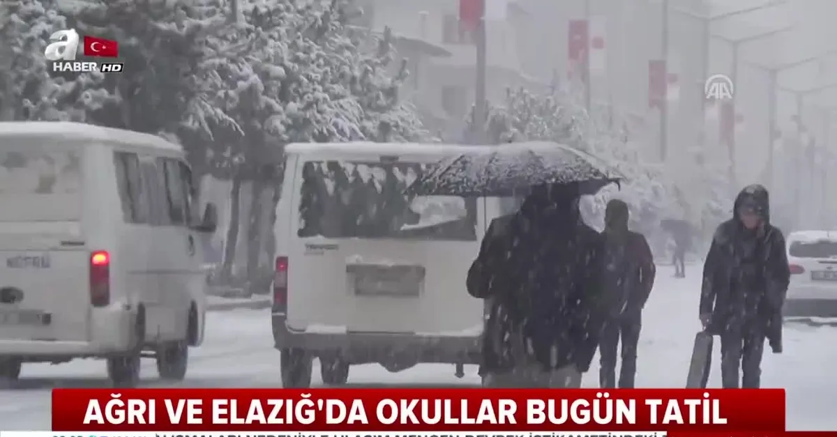 Ağrı ve Elazığ'da okullara kar tatili