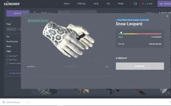 Daire fiyatına sanal kaleş! Bilgisayar oyunlarında kullanılan aksesuarlar için yeni bir sektör yaratıldı-3