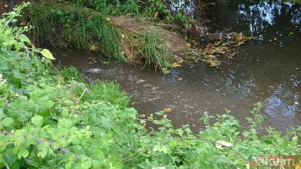 İSKİ'nin son skandalı! Kanalizasyon suları Ömerli Barajı'na akıyor - 2