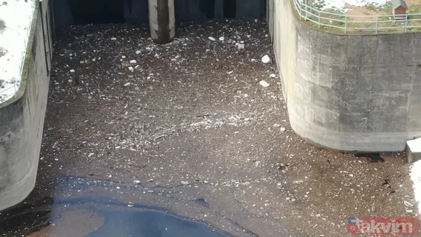 İstanbul barajları doluluk oranları | İstanbul'un içme suyunu bekleyen tehlike: Alibeyköy barajı şimdi de çöple doldu - 15