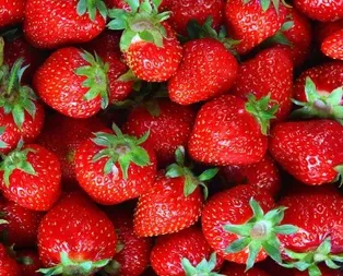 Meyvelerin kraliçesi